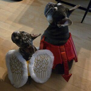 Small dog Angel & Devil Costumes